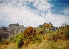Baja communities play a key role in conservation © Wendee Holtcamp 2008