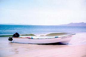 Baja communities play a key role in conservation © Wendee Holtcamp 2008
