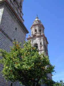 Tower, Morelia