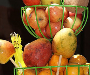 Fresh fruit for juices and agua fresca, a refreshing drink popular throughout Mexico. © Christina Stobbs, 2011