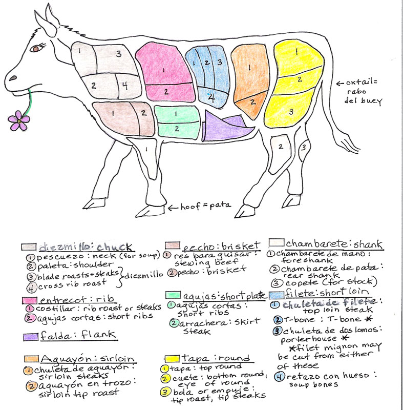 Choice Cut Or Mystery Meat? A Guide To Mexican Butcher Shops: Part I - Beef  - MexConnect