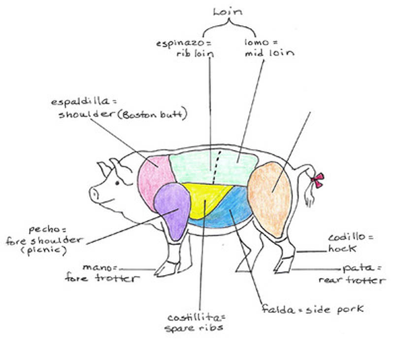 Pork Cuts Explained: Ultimate Guide To Different Cuts of Pork