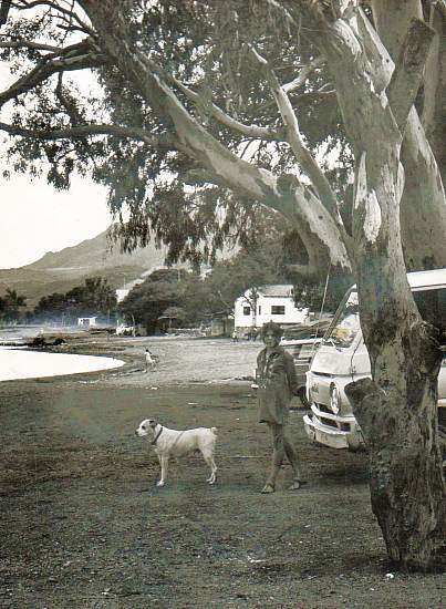 Tamara Johnson, pictured here looking out over the lake from in front of the Old Posada, near Ajijc pier, with her faithful dog Gordo, is going to take us on a tour of Ajijic, in about 1970... ﻿Photo by Beverly Johnson. All rights reserved.