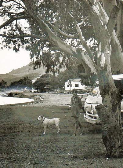 Tamara Johnson, pictured here looking out over the lake from in front of the Old Posada, near Ajijc pier, with her faithful dog Gordo, is going to take us on a tour of Ajijic, in about 1970... Photo by Beverly Johnson. All rights reserved.