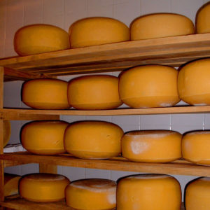 Hacienda San Antonio was run by a Frenchman for years and produces excellent cheeses, jams and coffee © John Pint, 2012