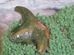 Chia sprouts on ceramic figurines represent new life.