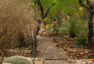 Beautiful paths through the gardens. Photo: Edythe Anstey Hanen