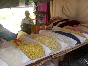 A merchant sits beside the scale at his Mexican tianguis market stall. White rice, beans in different colors and driend maiz grains take center stage. To his right are tamarind fruit and heaps of dried hibiscus or "jamaica" blossoms. To the left, cones of brown sugar sit in a green tub. © Daniel Wheeler, 2009