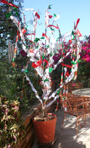 Talpa Christmas tree © Howard Mcill, 2006