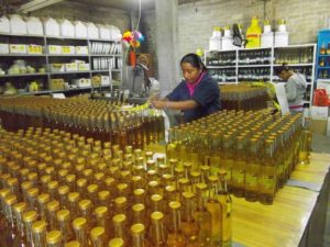 Women employed in the bottling and labelling area