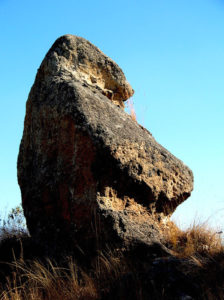 No it's not Easter Island, just another curiously shaped rock near Tala, Jalisco in West Central Mexico. © John Pint, 2011