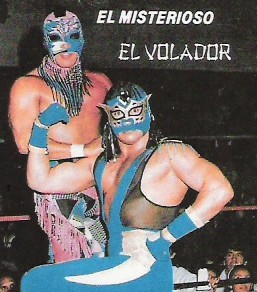 Wrestling masks