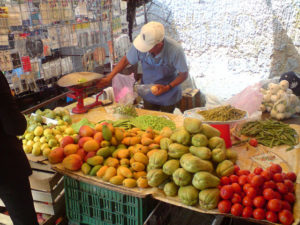 This Mexican tianguis merchant weighs out ripe guavas, mangos, chayotes, tomatoes and green onions for shoppers. Diced prickly pear cactus pads resemble green beans. © Daniel Wheeler, 2009