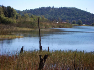 Michoacan's Lake Zirahuen is a tranquil and beautiful spot in the highlands of central Mexico. © Linda Breen Pierce, 2009