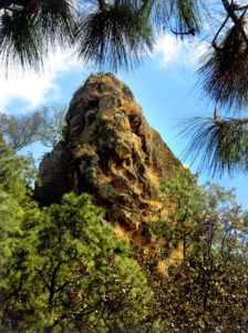 One of many spires rising high above Mexico's Rio de la Animas near Tala, Jalisco. © John Pint, 2011