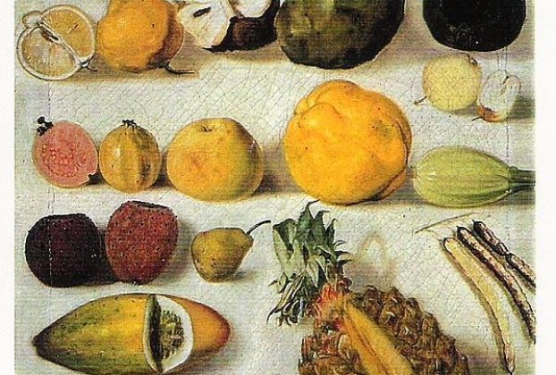 A feast for the eye: A painterly view of Mexican food