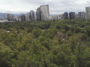 Chapultepec Park is a verdant forest that refreshes the world's largest city © Lilia, David and Raphael Wall, 2012