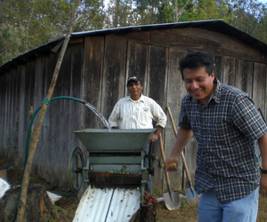Hulling coffee beans by hand © Sustainable Harvest, Oaxaca, 2009