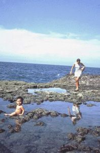 Beach on Mexico's west coast