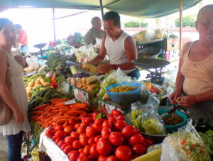 Vegetables in carefully arranged heaps await a shopper's selection. The tianguis, a traveling market in Mexico, has its origins in the pre-Hispanic past. © Daniel Wheeler, 2009