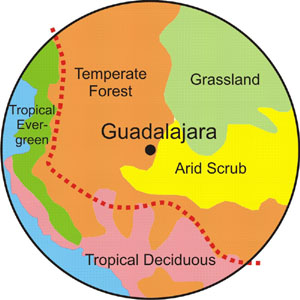 The Magic Circle Ecosystems