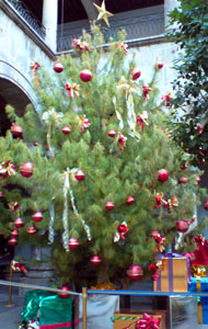 Christmas tree in Guadalajara's Palacio Municipal © Daniel Wheeler, 2010