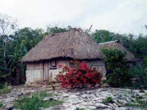 Traditional Maya house in Timucuy, Yucatan © John G. Gladstein, 2008