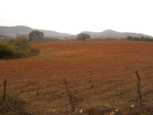 Field and hills. Guanajuato State - Allan Wall, © 2016