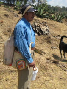 Some talachiqueros bring their jugs to the maguey fields on horseback; Don Jose carries his with a head-strap. He is a pulque producer in the Central Mexico state of Morelos. © Julia Taylor, 2011