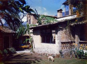 ﻿Marsha’s father's house in Ajijic, February 1966. The main room in the picture is the dining room “where we used to eat, play cards and gab.” Behind is an upstairs bedroom and mirador. Most of the gardening was done by a small dog named Lady, caught digging a new bone hole in this picture. Photo in family collection of Marsha Sorensen; all rights reserved.