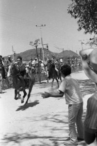 Far more exciting was watching a horserace in San Antonio. With a clattering of hooves, stallions thundered by galloping towards the lake. Photo, now in collection of Tamara Johnson, taken by Beverly Johnson; all rights reserved.