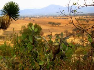 View from above the gardens, Cadereyta © 2018 Edythe Anstey Hanen