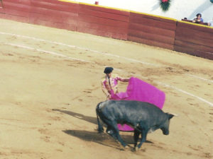 Bullfight © Larry Freeman, 2010