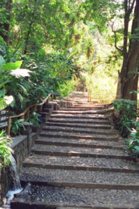 Wide stone pathways take visitors on tour beneath towering tropical trees at Cupatitzio Gorge National Park.