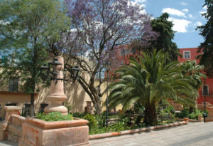 The Plaza Juarez, with its jacaranda trees, flowing fountain and flowering jasmine, is one of many pretty city parks in Zacatecas.