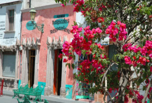 Jerez, with its candy colored buildings and green wrought iron benches, is a perfect example of what makes a place magical.