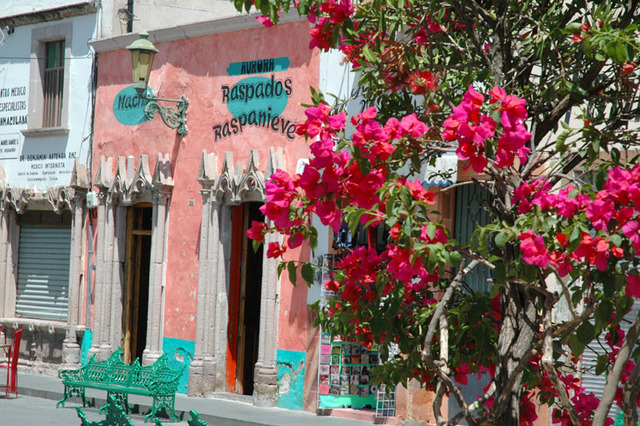 Jerez, with its candy colored buildings and green wrought iron benches, is a perfect example of what makes a place magical.