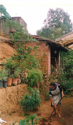 oyita's garden © Jenny McGill, 2009