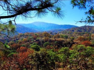 Mexico's Bosque la Primavera has over 36,000 hectares of rolling hills covered with pine and oak trees, intersected by deep, narrow canyons © John Pint, 2014