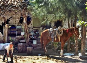 A boy and a horse. Today, only a handful of families manage to eke out an existence in these rugged hills where Mexico's El Amparo Mining Company once flourished. © John Pint, 2012