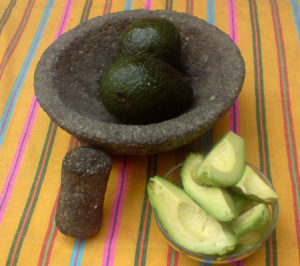 A good way to get the seed out of the avocado without much effort is by letting the blade of a knife fall into it and twisting to release the seed from the creamy pulp. © Daniel Wheeler, 2009