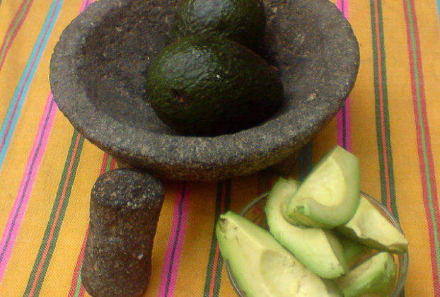 A good way to get the seed out of the avocado without much effort is by letting the blade of a knife fall into it and twisting to release the seed from the creamy pulp. © Daniel Wheeler, 2009