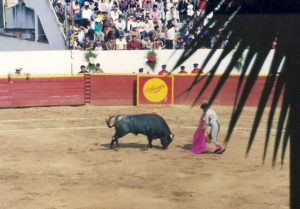 Bullfight © Larry Freeman, 2010