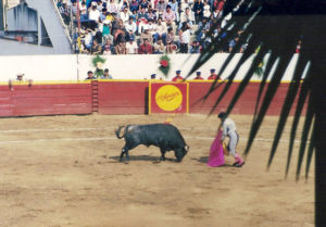Bullfight © Larry Freeman, 2010