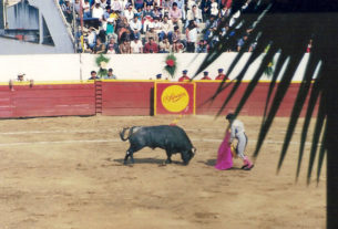 Bullfight © Larry Freeman, 2010