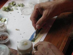 Creating a small picture with feathers requires long hours of tedious work. Martha uses tweezers to place a feather on her painting.