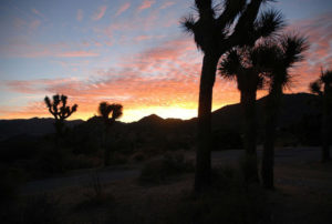 Joshua Tree National Park in California settles down for the night. © Gerry Soroka, 2009