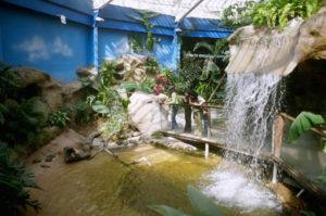 Visitors take in the rich beauty of the biodome at the Museum of the Desert in Saltillo.