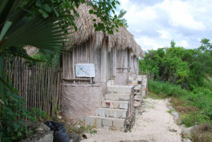 Houses in Pac Chen, Quintana Roo are built of wood with thatched roofs. The jungle surrounds this tiny Maya village in the Yucatan Peninsula. © Jane Ammeson, 2009