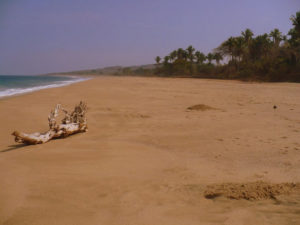 Punta Raza's two miles of unspoiled beach are a prime example of the incredible beauty of Nayarit beaches where the jungle meets the sea. © Christina Stobbs, 2009